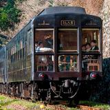 CD「京王ライナーBGM KO5000」を発売｜鉄道ニュース｜2025年12月19日