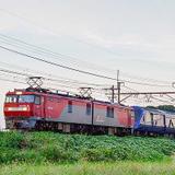 【トミックス加工品】115系D編成 ふるさとおこしラッピング岡山電車区 トミックス加工品】115系D編成 ふるさとおこしラッピング岡山