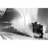 京王「動物園線開通50周年記念乗車券」発売｜鉄道ニュース｜2014年4月