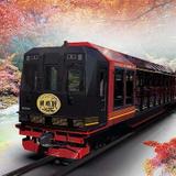 鉄道コレクション「西武鉄道創立110周年記念BOX」発売｜鉄道